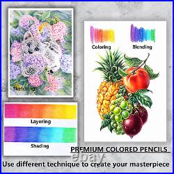 Professional Colored Pencils, Set of 300 Colors, Artists Soft Core with Vibrant Co